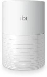 SanDisk ibi (H2C).jpg