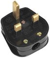 Wiki 13Amp Plug.jpg