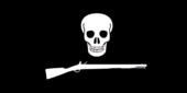 Skull flag.png