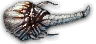 Megacephal ovipositor.png