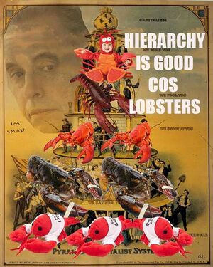 Lobsters.jpg