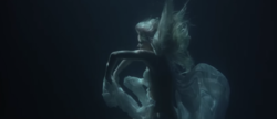 Dahlia underwater in a scene from the video