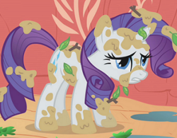 Rarity filthy.png