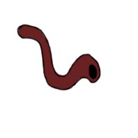 Topuraworm.jpg