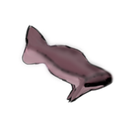 Chasojawus.png