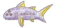 Glowvisus.png