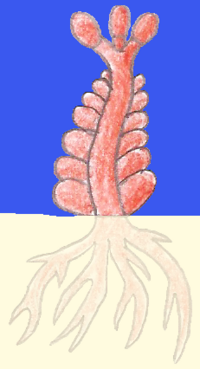 Reefern.png