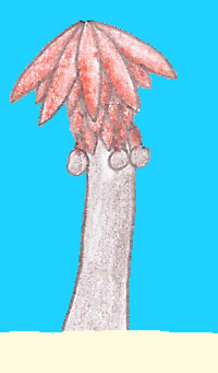 Prailpalm.png