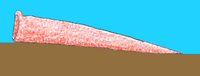 Beachworm.png