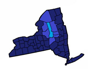 Ny herkimer.png