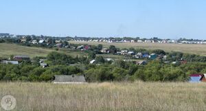 Вид на бывшее село Ртищево со стороны рощи Шмели (2013)