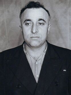 Николай Михайлович Саркисян