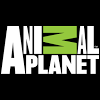 Animal Planet 2013.png