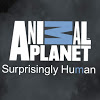 Animal Planet 2014.jpg