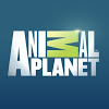 Animal Planet 2016.jpg