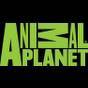 Animal Planet 2010.jpg