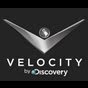 Velocity.jpg